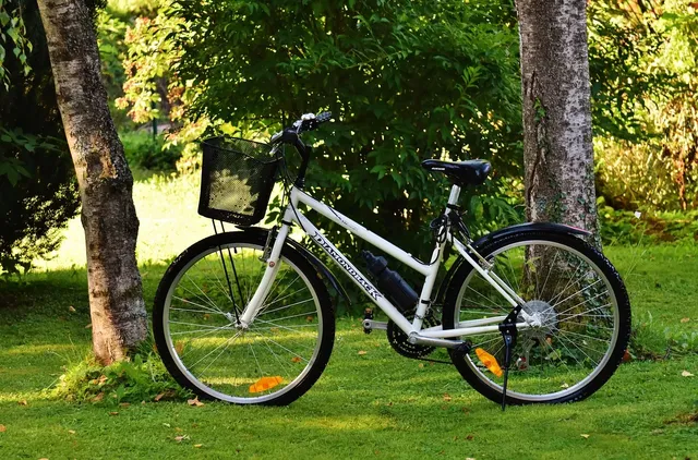 bikex29_ruta_27_btt_cicloturismo_rosal_lajunta