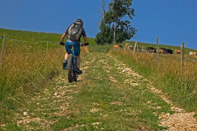 bikex29_ruta_24_zufre_higuera_btt_cicloturismo_zufre